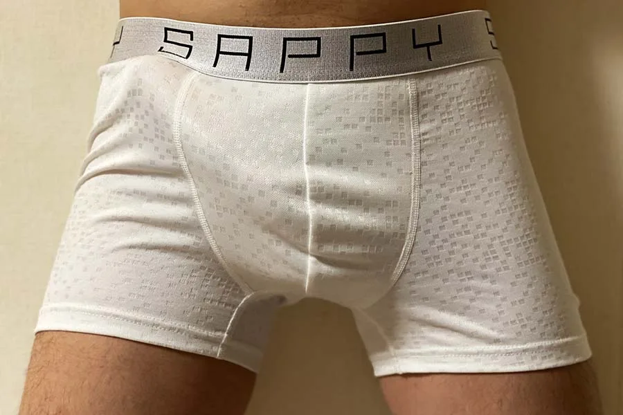 エルヴィス