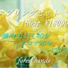 forest hands フォレストハンズ